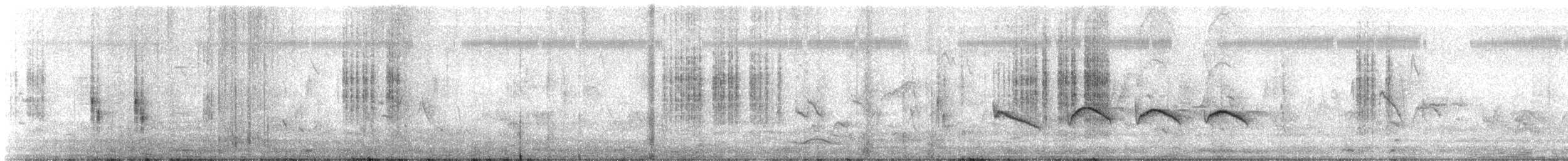 Yellow-eyed Babbler - ML647669822