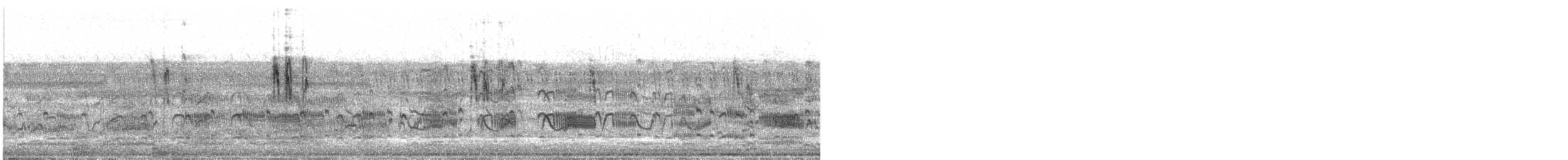 konipas bílý - ML647670362