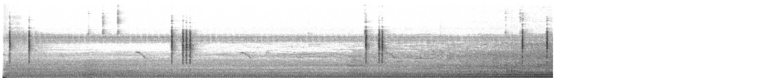 pták sp. - ML647670368