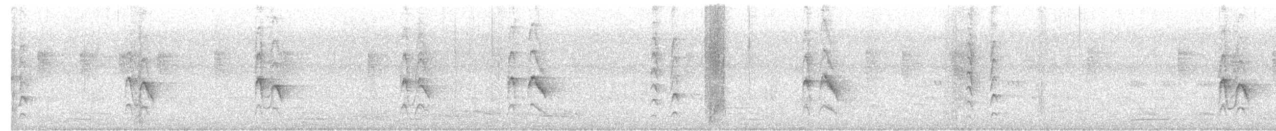 Kara Drongo - ML647670411