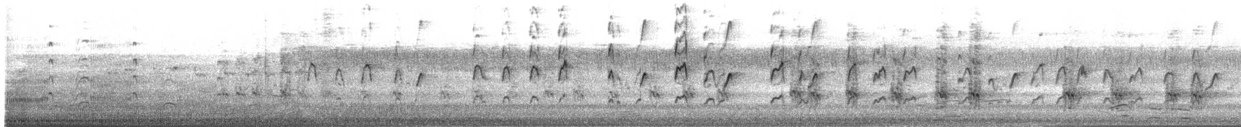 vodouš kropenatý - ML647670418