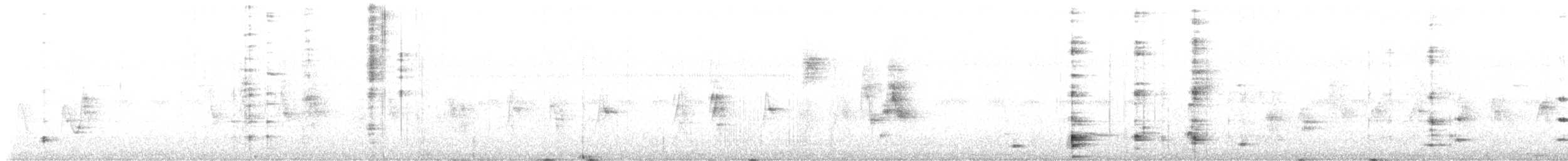 Black Bulbul - ML647670736