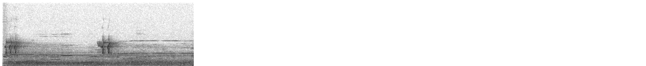 vlha indická - ML647670801