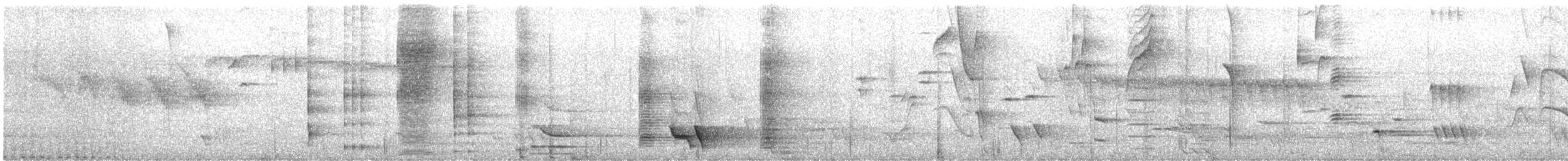 tui zpěvný - ML647670881