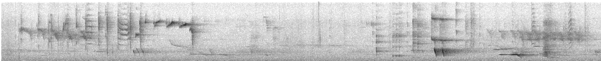 New Zealand Fantail - ML647670986