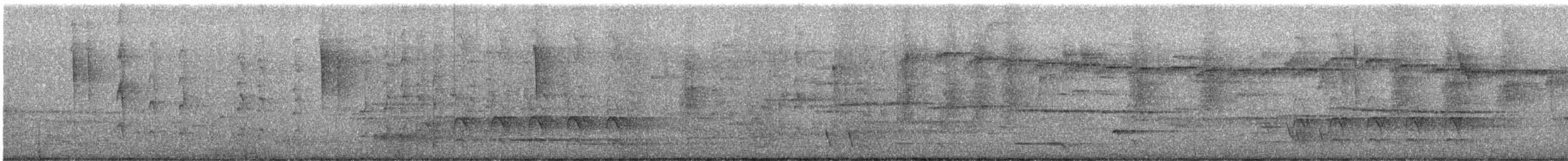 Sacred Kingfisher - ML647671130