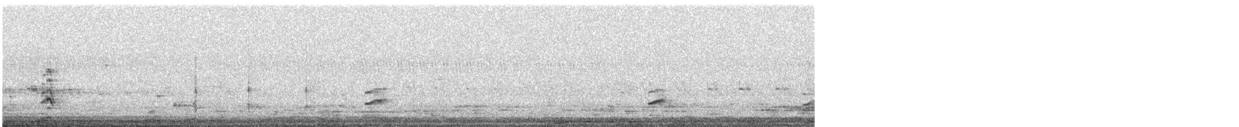 Hegaztia sp. - ML647672121