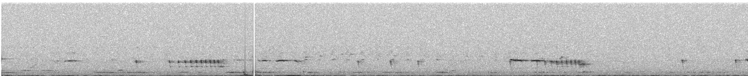 Engoulevent indien - ML647672377