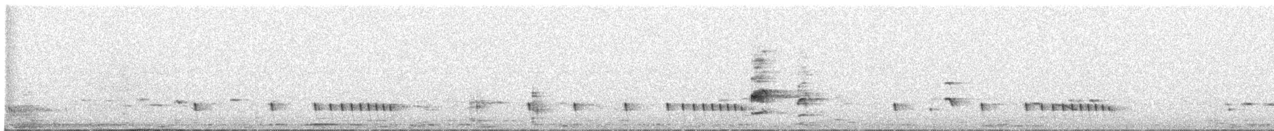 Vanneau indien - ML647672385