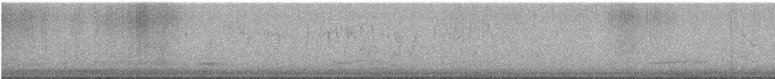 Râle d'eau - ML647672510