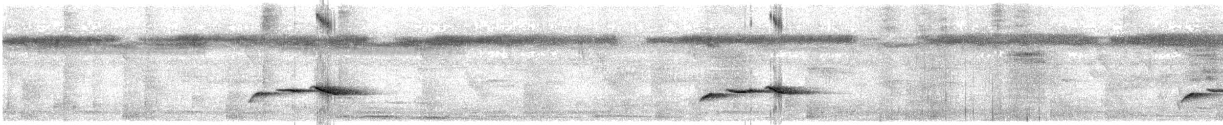 Grive à tête orange - ML647672743