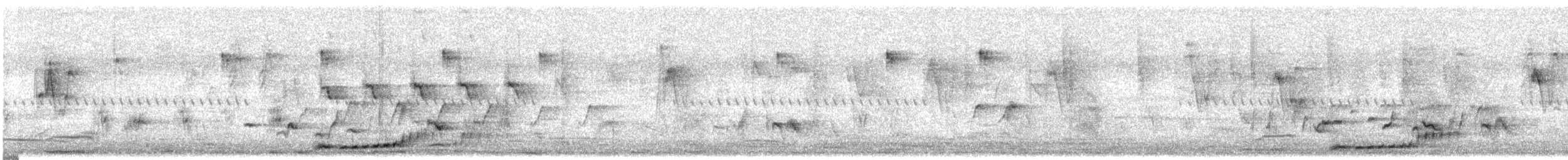 Желтоклювый саблеклюв - ML647672794