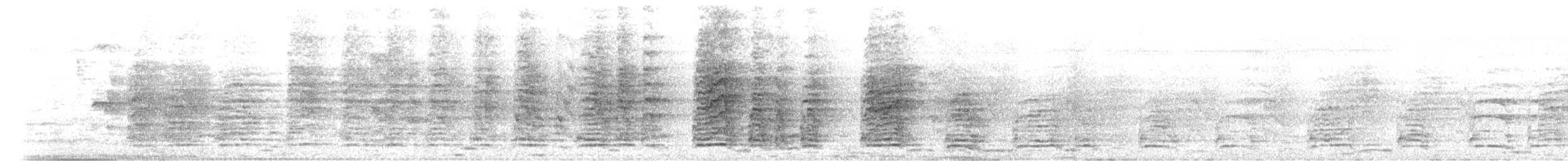 Calao de Malabar - ML647672900