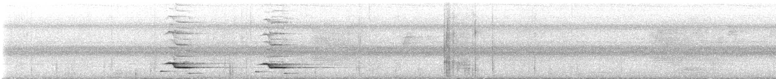 Platysmure de Bornéo - ML647673318