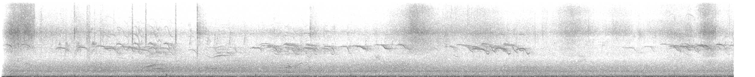 Paradoxornis de Webb - ML647673905