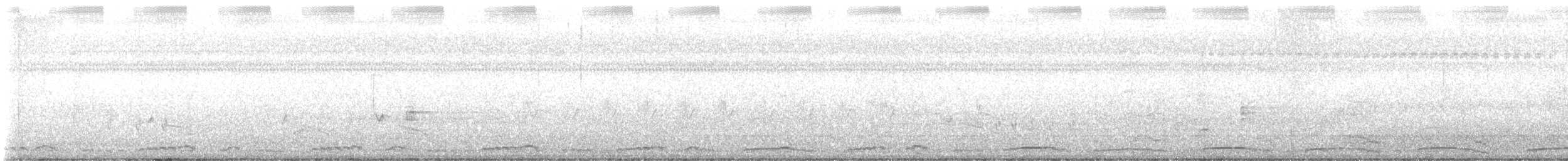 Râle à poitrine blanche - ML647674166