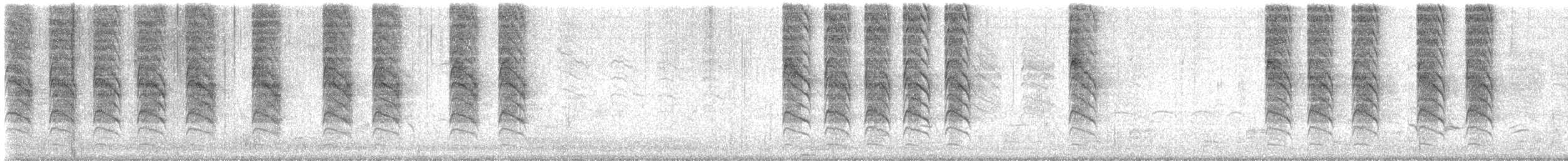Rattling Cisticola - ML647674296