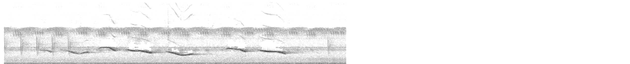 Senegaltschagra - ML647674615