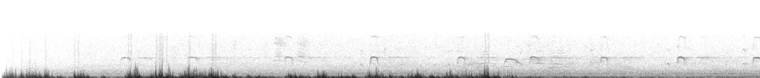 Australausternfischer - ML647675141