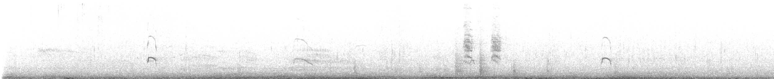 Australausternfischer - ML647675142