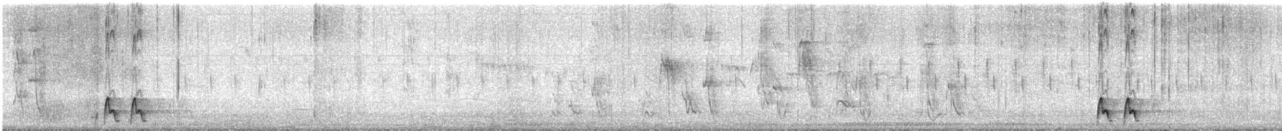 Rotbauchwürger - ML647675161