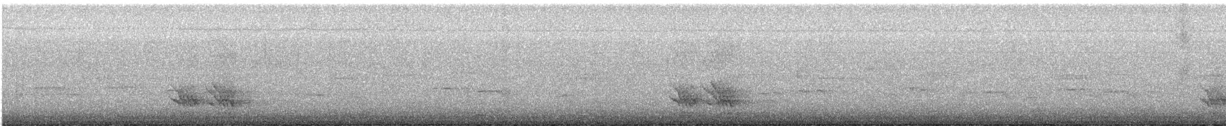 Schwarzgesicht-Raupenfänger - ML647675278