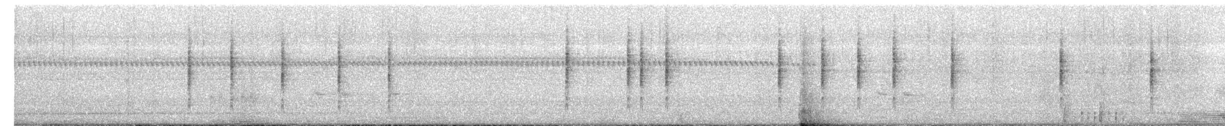 Taiwanschwirl - ML647675429