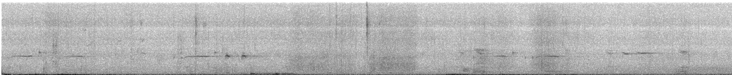 Taiwanschwirl - ML647675469