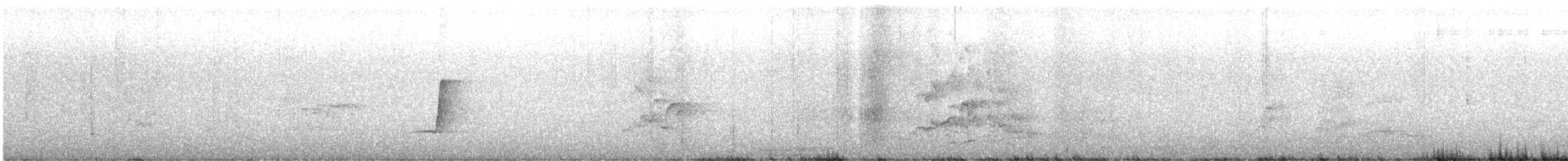 Schlichtmantel-Dickkopf - ML647675553