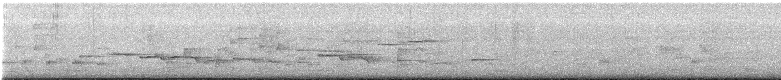 Mangrovegerygone - ML647675831