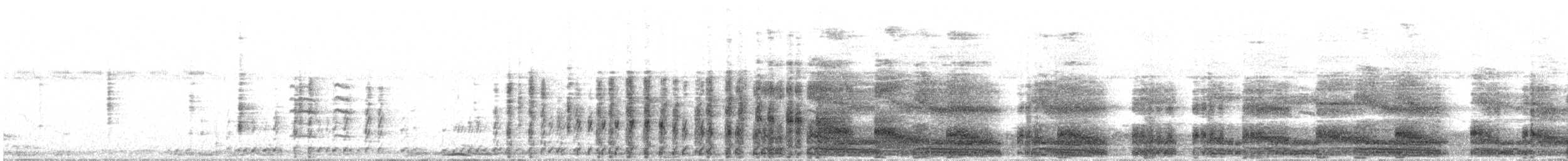 White-breasted Waterhen - ML647676310