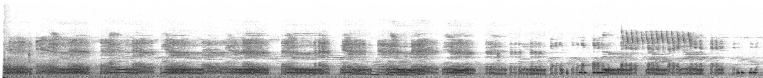 White-breasted Waterhen - ML647676311