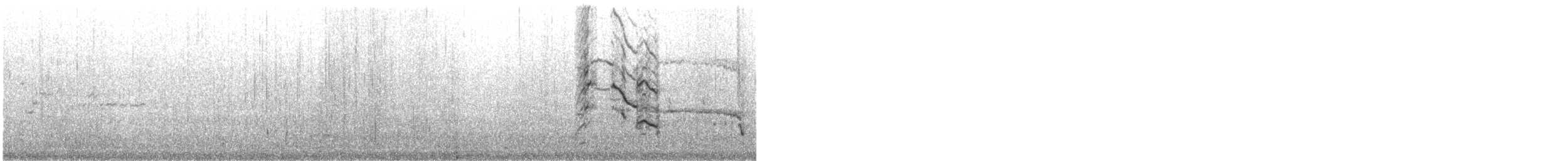 Сизая чайка (Европейская) - ML647676359