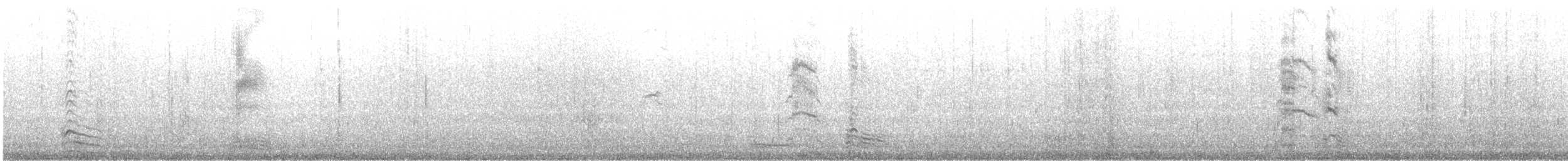 Mediterranean Gull - ML647676385