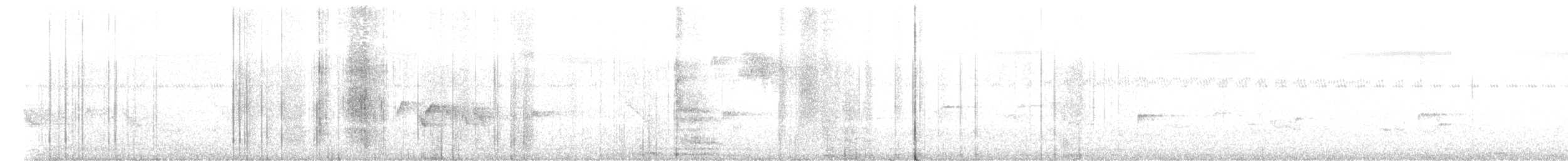 Spotted Dove - ML647676832