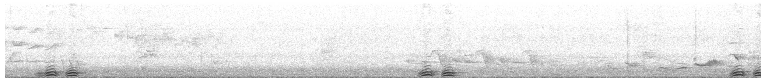 Ninoxe aboyeuse - ML647677096