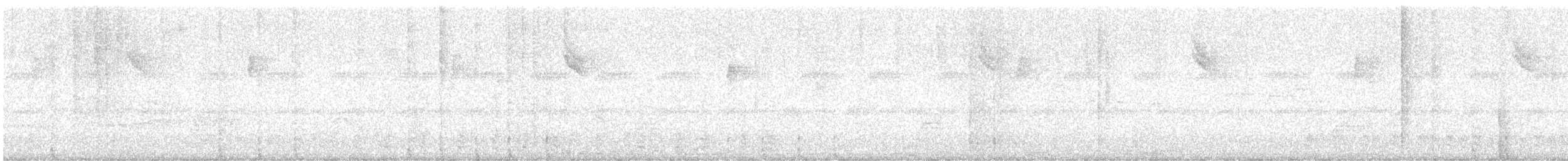 Red-crowned Woodpecker - ML647677126