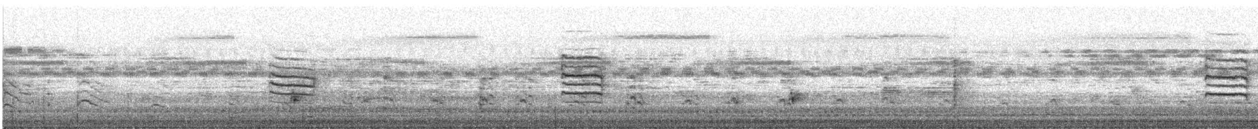 Ashy Prinia - ML647677216