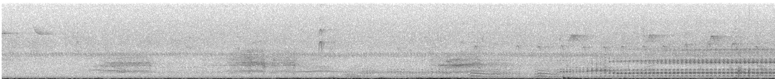 Laughing Kookaburra - ML647677487