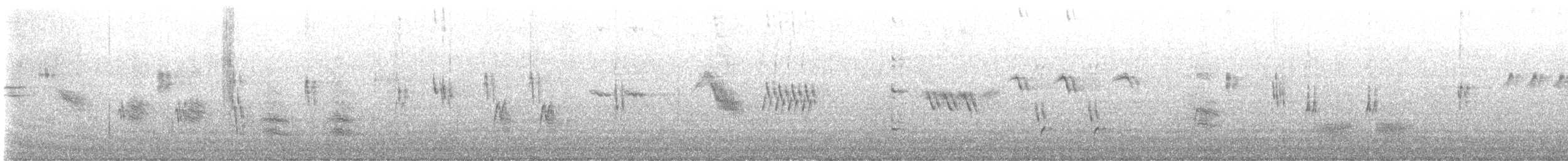 אמודאי הנחלים - ML647677589