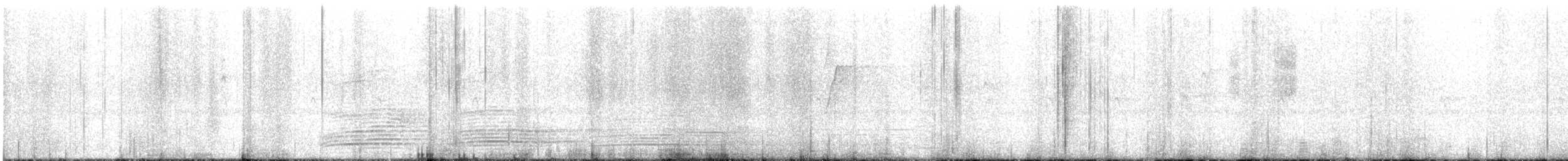 Australian Raven - ML647677753