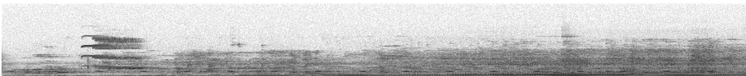 Red-naped Ibis - ML647678858