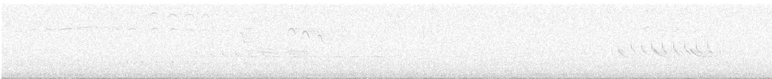 Regolo - ML647678921