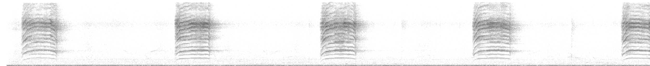 Black Bulbul - ML647679343