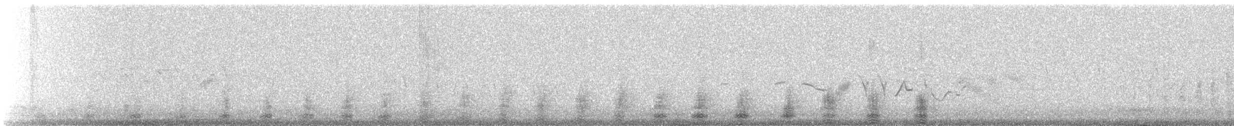 Smergo minore - ML647679513