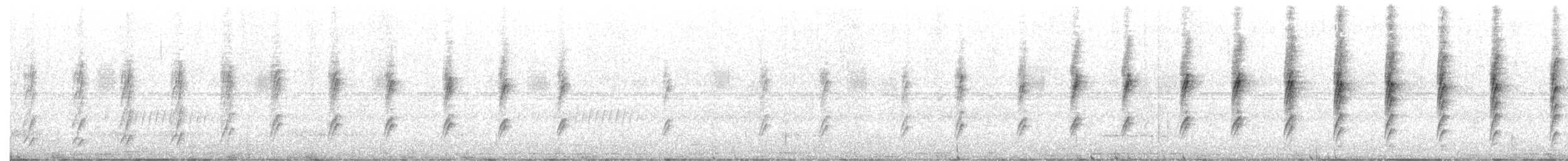 Gurney's Sugarbird - ML647679684