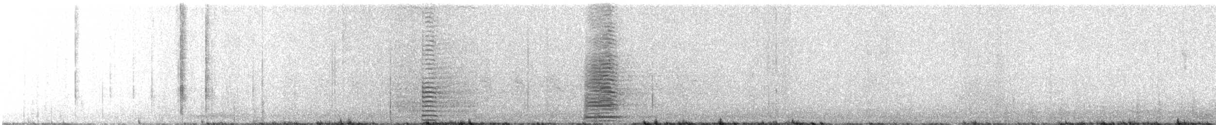 Trumpeter Swan - ML647679709