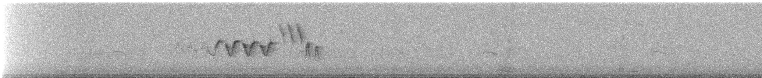 Northern Yellow Warbler - ML647679787