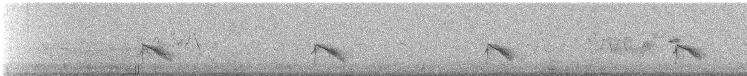 Gray-cheeked Thrush - ML647679850