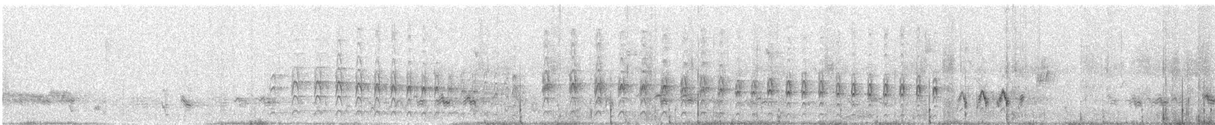 Arabian Woodpecker - ML647680043